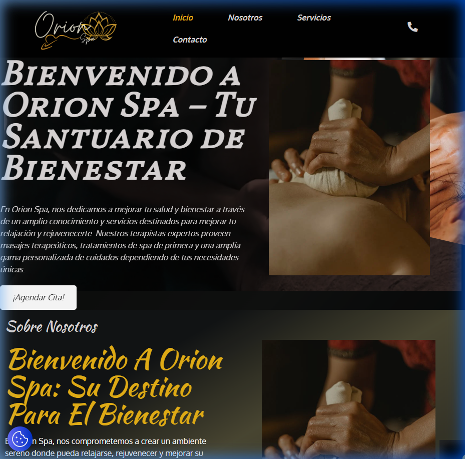 Orions Panama website